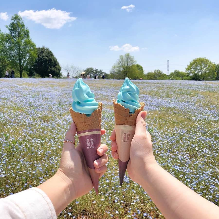 Nom de plumeさんのインスタグラム写真 - (Nom de plumeInstagram)「ネモフィラが満開の季節💖﻿ ﻿ ネモフィラ畑で、﻿ ネモフィラソフトが﻿ 食べたい🙈🍦﻿ ﻿ 各地で食べれる、﻿ ネモフィラソフトをチェック☝️﻿ ﻿ (2-4枚目)﻿ 🧚‍♀️国営ひたちなか海浜公園﻿ ミニコーンにクッキー付き🍪﻿ ﻿ (5枚目)﻿ 🧚‍♀️舞洲シーサイドパーク﻿ ﻿ (6枚目)﻿ 🧚‍♀️花夢の里ロクタン﻿ ﻿ ﻿ ﻿ 🎀photo by 🎀﻿ @h__princess215  @ninaaa_0304  @__6_1_0__  @f__startgram  @na_neko7 ﻿ ◇◇◇◇◇◇◇◇◇◇◇◇◇◇◇◇◇◇◇◇◇◇◇◇◇◇◇◇◇﻿ ﻿ #nomdeplume #ネモフィラ #ネモフィラ畑 #世羅高原農場 #花夢の里 #ネモフィラソフト #舞洲シーサイドパーク #ネモフィラ祭り #ネモフィラの丘 #ひたちなか海浜公園」5月9日 21時01分 - nomde_official