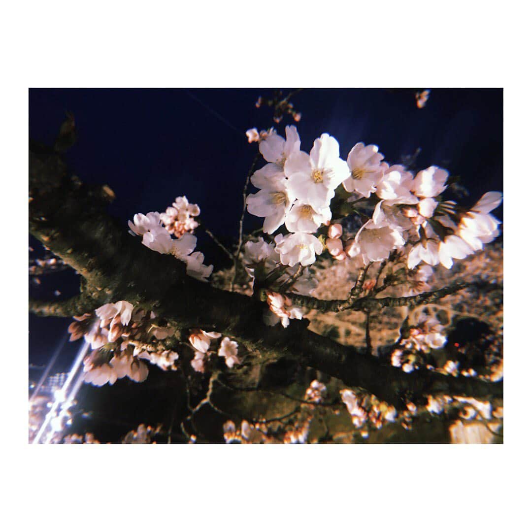 彩香さんのインスタグラム写真 - (彩香Instagram)「あなたの大切な人へ。 #春 #桜 #cherryblossom #会えるように #心のポスト」5月9日 21時25分 - saika_ringomusume