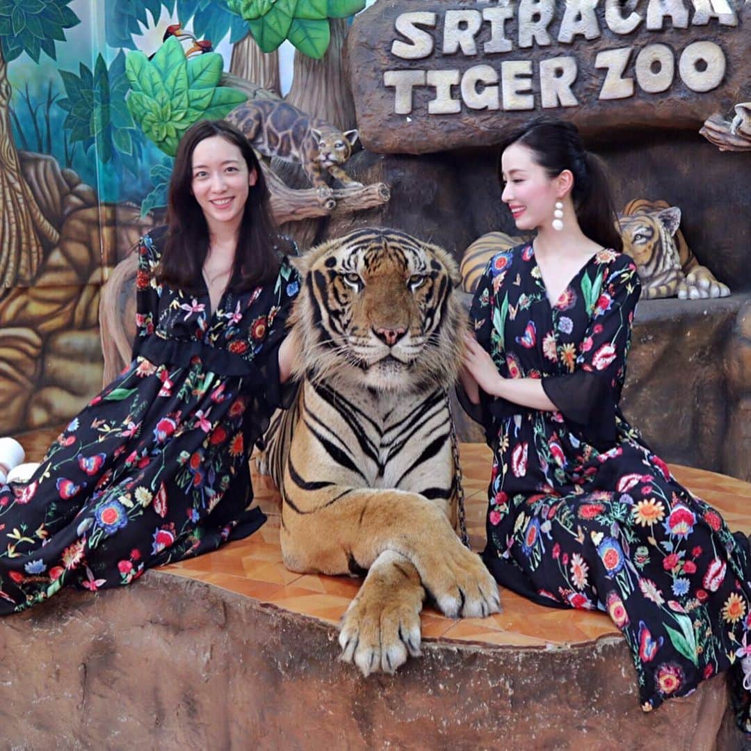 我謝レイラニさんのインスタグラム写真 - (我謝レイラニInstagram)「#SrirachaTigerZoo にも行ってきたよー🐯 #タイガーズー って言うだけあって虎がたくさんいた🐅🐅 本物のトラと撮影可能だから〜そりゃー撮るよね！！！！！日本ではできない経験だからこれはプライスレス(*´罒`*)✨ 2人で写真撮る直前にトラが「ぐるるるる〜」って喉を鳴らしながら少し動いたのがちょっと怖かったけど‥大人しくて良い子でした🐯 まぁ‥良い子じゃないと困るんだけども💧笑 #タイ旅行 #bangkok  あ！象にも乗ったよ⤴︎🐘 この日の洋服は @montresorsaki の👗2人で #お揃いコーデ #双子コーデ したよ♡ カジュアルにも着れていい感じ〜👍🏻 #motresor #モントレゾール」5月9日 21時31分 - leila___ni