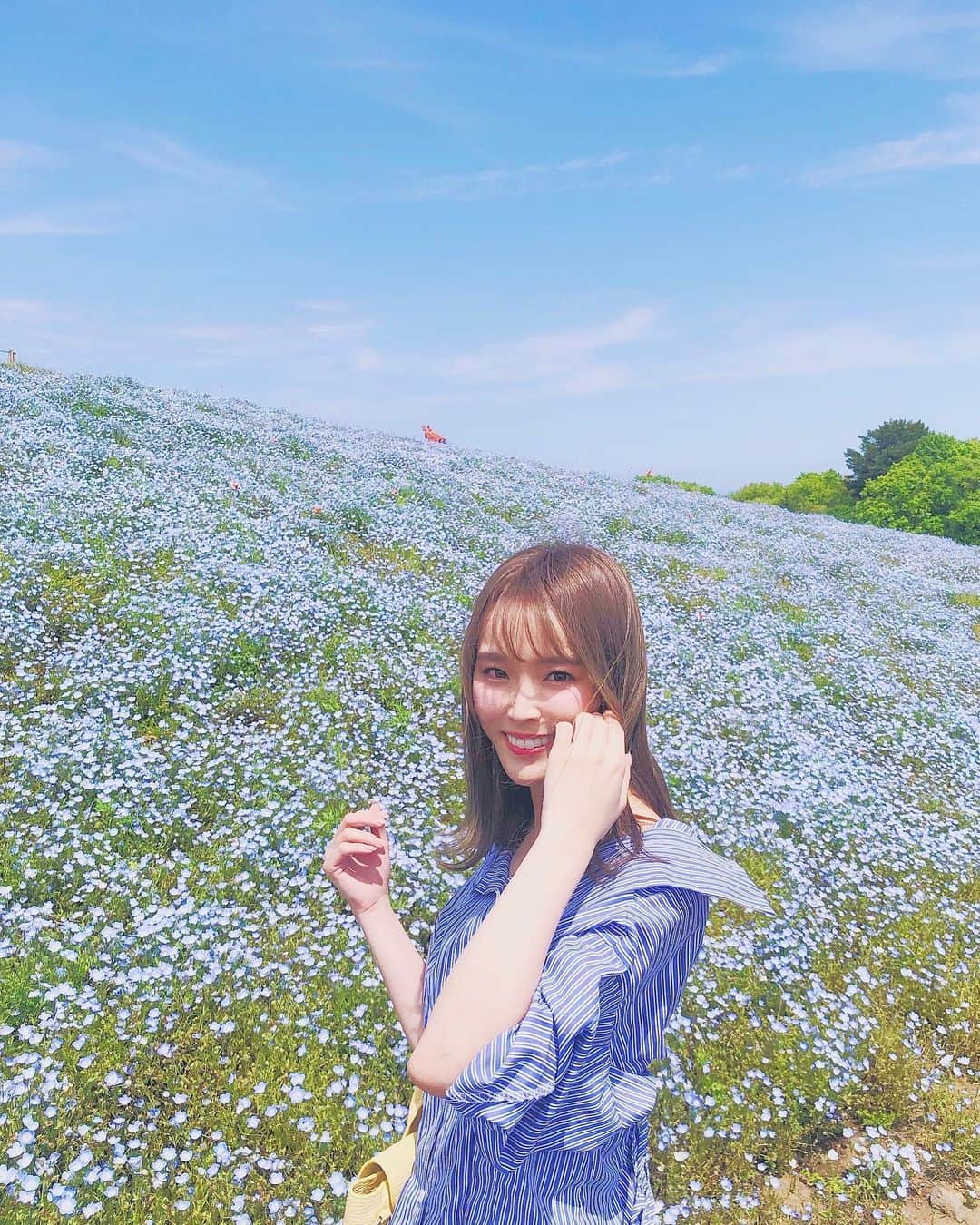 磯田 ひかる(Hikaru Isoda) のインスタグラム：「ネモフィラ💠💠 前から行きたかったひたちなか海浜公園、お弁当持ってピクニックできた🤤❤️ 激混み覚悟して行ったけど意外とスイスイ入れた🌷 秋はコキアで真っ赤になるらしい✨ . . . #ネモフィラ #ひたちなか海浜公園 #ひたち海浜公園 #hitachinakaseasidepark」