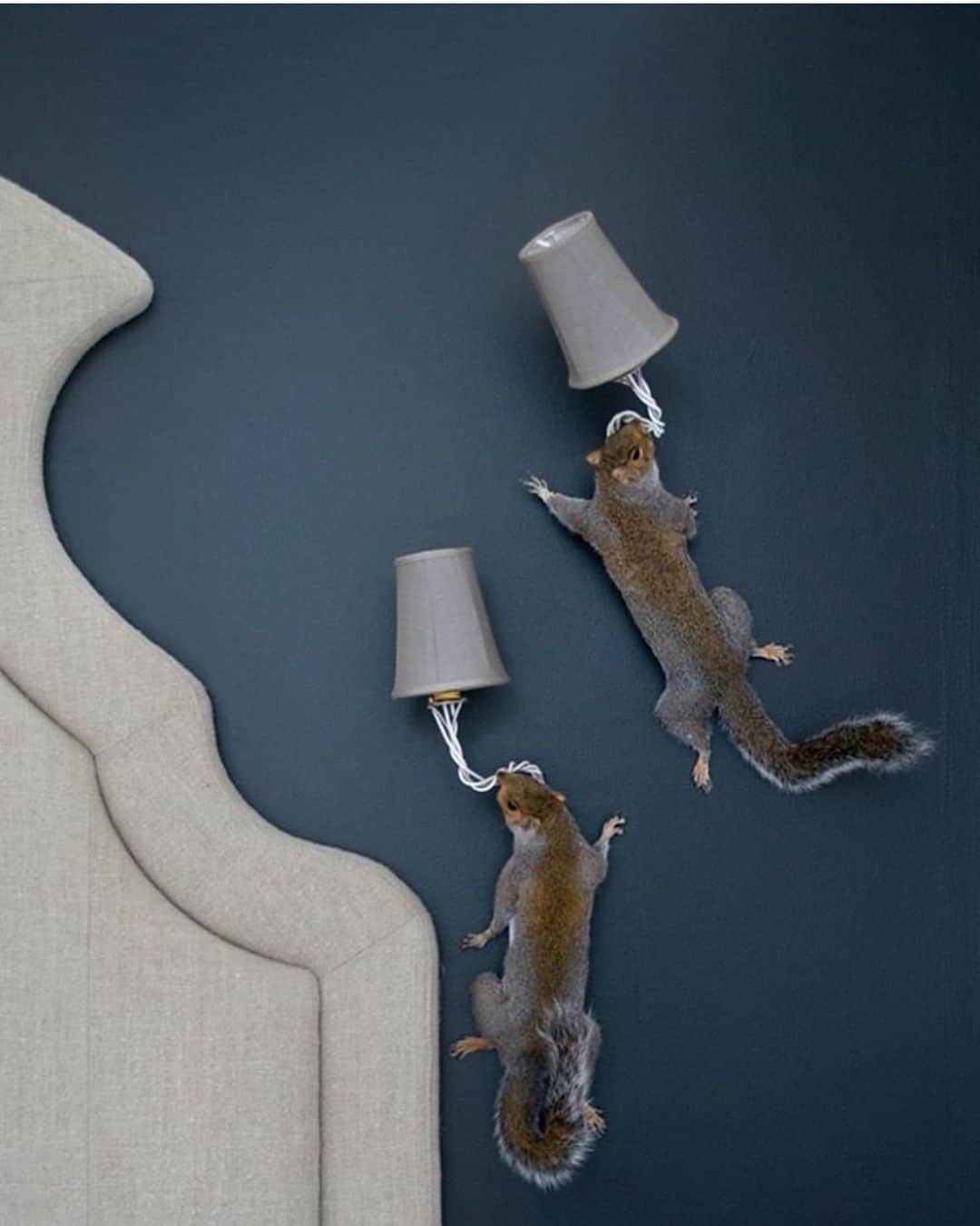 エイミー・セダリスさんのインスタグラム写真 - (エイミー・セダリスInstagram)「#thursdee squirrel sconces @markb2355 @toddoldham #decor」5月9日 22時06分 - amysedaris