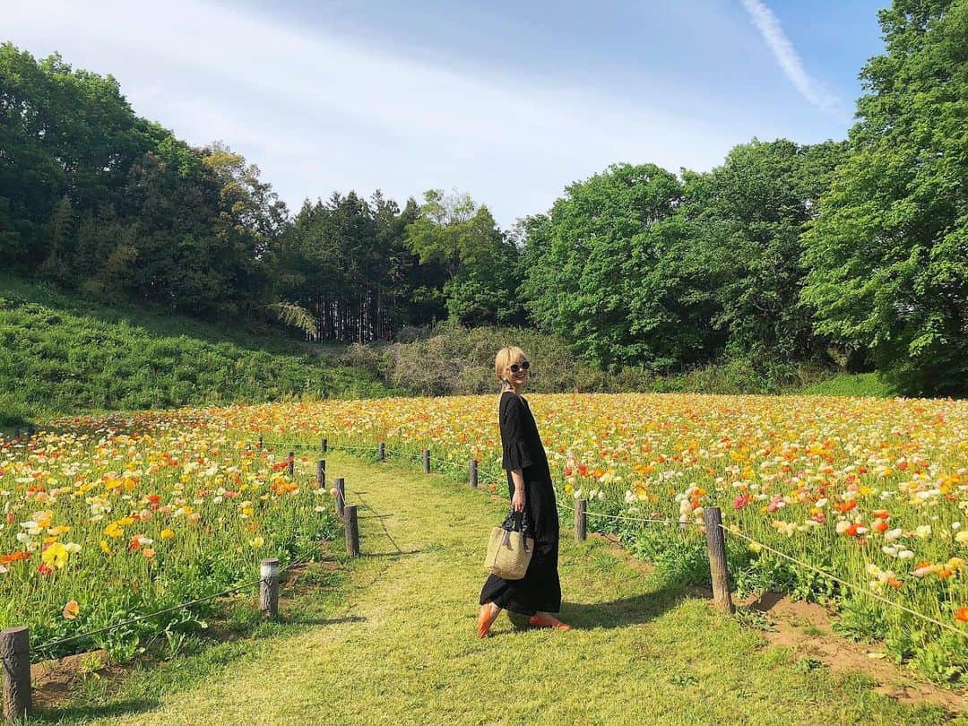 橋本江莉果さんのインスタグラム写真 - (橋本江莉果Instagram)「今年のGW❤️💗🧡💛💚💙💜 前半は地元に帰って、実家でゆっくりしたり🐈🏡、みずほと毎年恒例のコナン君の映画を観たり🎬、後半は東京に戻ってきてドキドキな結婚式が無事終わってからは、フラッと寄った犬カフェで癒されたり🐶(その後、動物アレルギーでくしゃみ止まらなかったり🤧w)、埼玉の森林公園でお花をいっぱい見てまた癒され🌼🌷、最終日は産まれての綾沙子babyと綾沙子ファミリーに会いに行って、メロメロになったり😍 予定がない日もまったりゆったりして、最高のGWでした🥳💕 もうこんな長期な祝日はなかなかないだろうけど、やっぱりお休みはイイッ🙌🏼😝🌈 それにしても、綾沙子ベビかわいすぎて、もう会いたい気持ちぃ〜🤤💕 #GW #dayoff #happyholidays #2019」5月9日 22時24分 - erica_hashimoto