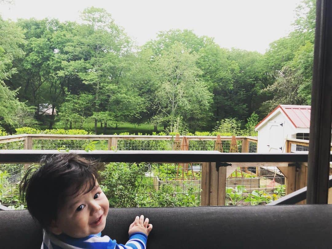 ミシェル・ブランチさんのインスタグラム写真 - (ミシェル・ブランチInstagram)「Coffee on the porch. Rhys is advising me on how to keep this year’s blueberry crop away from the birds 💙」5月9日 22時26分 - michellebranch