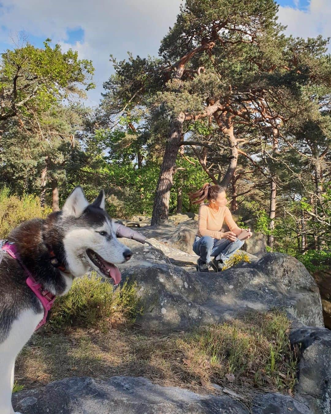 キャロライン・シノさんのインスタグラム写真 - (キャロライン・シノInstagram)「Quoi de mieux que de s’étirer en forêt🌲 à 5min de la maison? • Stretching and contemplating 🌲🙆‍♀️ @crimpoilofficial @arkose.climbing @snap.climbing . . . . . . . . #boulderinggirls #girlsboulder #climbinggirls #boulderingbabes #fitness #stretching #forest #nature #fontainebleau #fontainebleauforest #fontainebleaubouldering #climbing #bouldering #boulderinglife #restday #tree @fontainebleau_tourisme #fontainebleaumaville @villedefontainebleau #fitgirl #naturegirl #fitness #areyouami @scarpaspa @frictionlabs」5月9日 22時30分 - carosinno