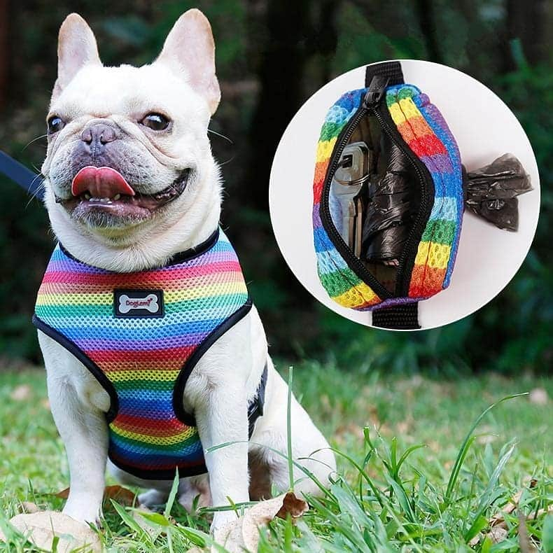 French Bulldogさんのインスタグラム写真 - (French BulldogInstagram)「Hit the summer in style with Frenchie World 🌈🌈 Soft Breathable Rainbow French Bulldog Harness 🌈🌈 PERFECT for Summers ☀ Poop Bags dispenser included 💩💩💩 . . . . . #bulldog #englishbulldog #bulldogsofinstagram #frenchbulldog #frenchie #bully #bulldogs #bulldoglife #theworldofbullies #squishyfacecrew #bulldoalove #bullylife #loveabully #frenchiesofinstagram #frenchies #instafrenchie #frenchielove #bulldoafrances #thefrenchiepost #bullyinstagram #frenchieoftheday #igbulldogs_worldwide #frenchbulldogsofinstagram #bullylove #bullyinstafeature #bulldogloversofinsta #bulldogsofig #bulldogpuppy #frenchiegram」5月9日 22時46分 - frenchie.world