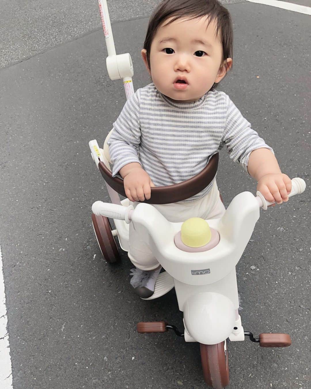 那須久美子さんのインスタグラム写真 - (那須久美子Instagram)「今日は夕方からだったけど、華といーっぱい遊んで笑った✨  三輪車デビューして、泥だらけになりながらハイハイで追っかけっこした✨  2枚目の写真、、、もう乗りこなしてる顔してるけど後ろから操作するタイプね🤣  ご飯モリモリ食べて、お風呂でアヒルさんといっぱい遊んで、、、🛁 いつもより早くコテンって寝ちゃった💤  いやーー親バカだけどかわいいなーー💕  かわいいだけしかないなー💕  今日も沢山華の笑顔が見れてよかったなー💕  華も保育園で頑張ってるから私も頑張るぞーーー‼️ 明日もたくさんのご予約ありがとうございます✨  とにかく素敵にやりやすいスタイルを叶えます✨  よろしくお願いしますーー✨  明日は朝からスタミーとセミナーミーティングだ✨  おやすみなさい✨  #michionozawahairsalonginza  #1歳 #生後1歳 #ママ美容師 #女の子ママ #女の子ベビー #子育て #4月生まれ #4月24日生まれ #iimo #三輪車 #ハイハイ #立っち #つかまり立ち」5月9日 23時37分 - nasu_kumiko