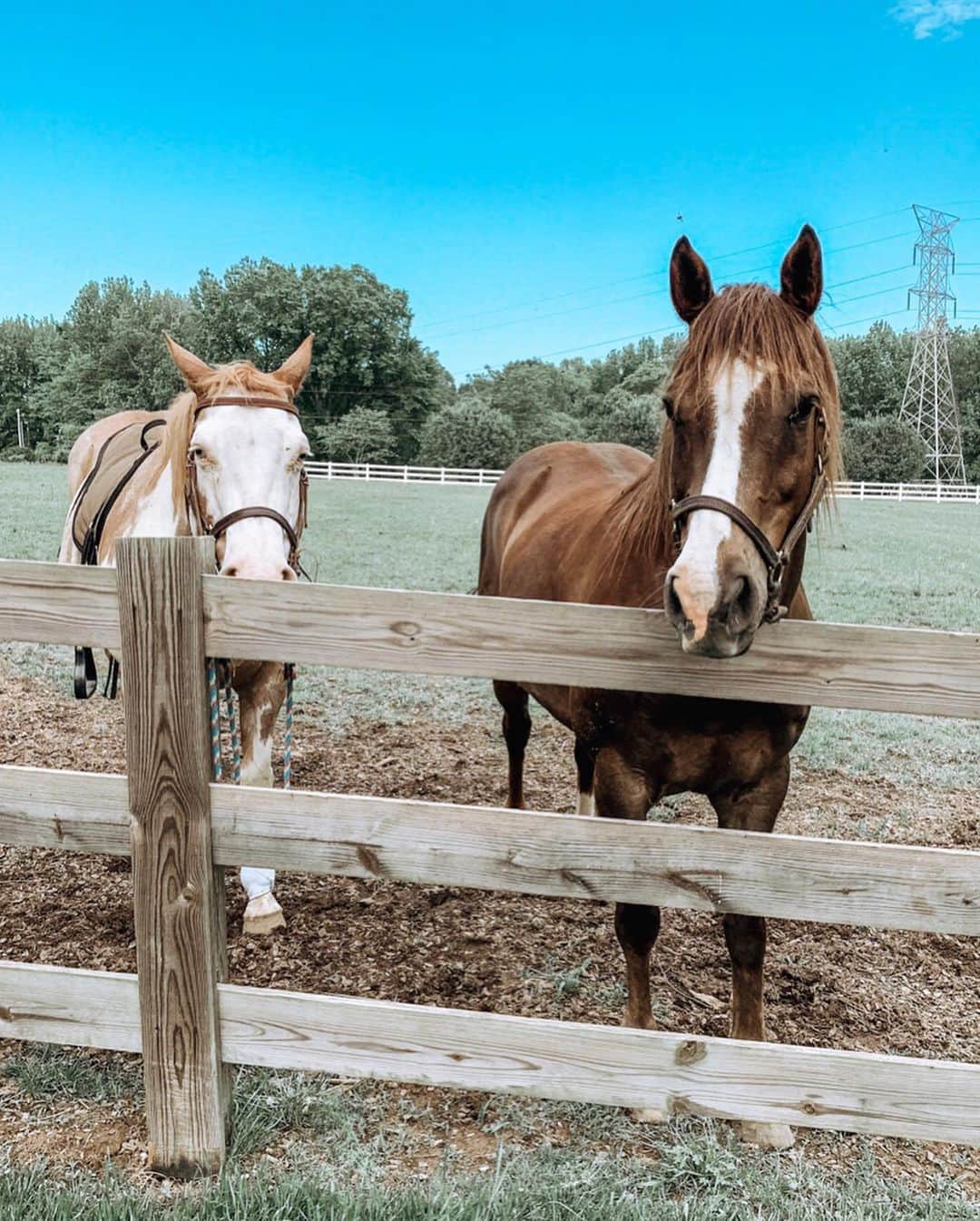 Kindly Myersさんのインスタグラム写真 - (Kindly MyersInstagram)「I hope y’all don’t mind all the horse pix. I’m just happy and in love with these boys. I’m so happy to be riding again. I lost my confidence for a while and questioned if i should even be riding. I’m glad that i have found such a wonderful horse with a kind soul.」5月10日 0時16分 - kindlymyers