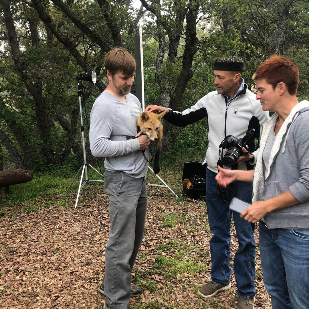 Rylaiさんのインスタグラム写真 - (RylaiInstagram)「BTS from our very special photoshoot today with @buckthecubicle . Normally Dave and I aren’t in front of the camera with the “kids”, so this piece is going to mean a lot to us personally, as well as for the center! This amazing #san Diego company is doing pieces on unique people and their unique relationships with animals. When they reached out and asked if we were interested in being a part of it.... we were honored to be able to showcase our love for our Ambassadors and the inspiration behind the center. . Luckily we have met some truly inspiring people while on this non-profit adventure - and I was saved by  @carlycosmetic and @toridoeshair who donated their time and artistic skills to do some magic with my hair and make-up!! I felt like a Celebrity💅💁‍♀️💁‍♀️ well... until I sat in fire ants and got my butt bit and then got dog poop all over my pants!!! Then we were right on back to my reality!! . Dave and I have been so blessed to truly meet and experience the loving souls of so many people while on this quest. I believe that by opening our hearts and being passionate about sharing the healing power and ironically, the humanity in canids - we have invited like minded souls into our lives. We believe in good... we believe in love.... we believe that as a village, we can inspire change... . We cannot wait to see our love for these animals captured by Jenna from @buckthecubicle - . Please join us on our adventure in #love #light #service #passion . #dogsofinstagram #photography #canidbond #dogsofig #foxesofig #foxesofinstagram #sandiego #follow #dogsofinsta .」5月10日 11時28分 - jabcecc