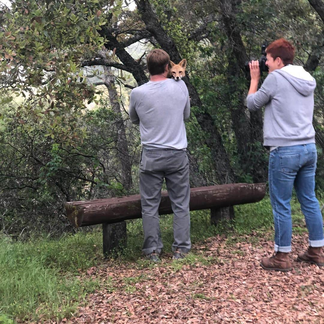 Rylaiさんのインスタグラム写真 - (RylaiInstagram)「BTS from our very special photoshoot today with @buckthecubicle . Normally Dave and I aren’t in front of the camera with the “kids”, so this piece is going to mean a lot to us personally, as well as for the center! This amazing #san Diego company is doing pieces on unique people and their unique relationships with animals. When they reached out and asked if we were interested in being a part of it.... we were honored to be able to showcase our love for our Ambassadors and the inspiration behind the center. . Luckily we have met some truly inspiring people while on this non-profit adventure - and I was saved by  @carlycosmetic and @toridoeshair who donated their time and artistic skills to do some magic with my hair and make-up!! I felt like a Celebrity💅💁‍♀️💁‍♀️ well... until I sat in fire ants and got my butt bit and then got dog poop all over my pants!!! Then we were right on back to my reality!! . Dave and I have been so blessed to truly meet and experience the loving souls of so many people while on this quest. I believe that by opening our hearts and being passionate about sharing the healing power and ironically, the humanity in canids - we have invited like minded souls into our lives. We believe in good... we believe in love.... we believe that as a village, we can inspire change... . We cannot wait to see our love for these animals captured by Jenna from @buckthecubicle - . Please join us on our adventure in #love #light #service #passion . #dogsofinstagram #photography #canidbond #dogsofig #foxesofig #foxesofinstagram #sandiego #follow #dogsofinsta .」5月10日 11時28分 - jabcecc