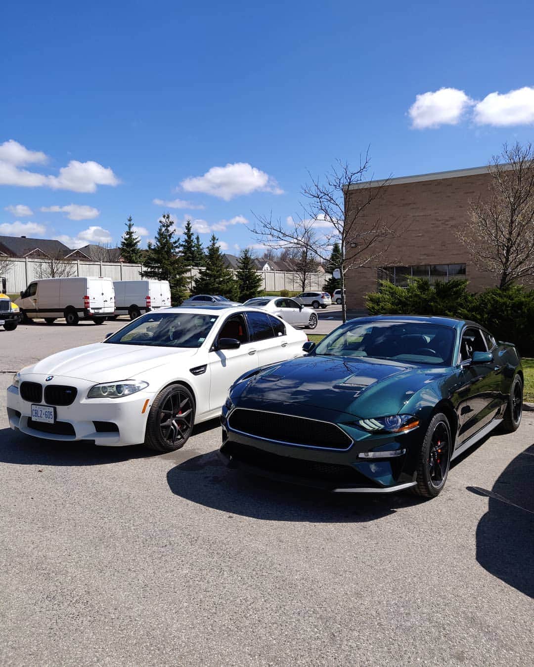 CarsWithoutLimitsさんのインスタグラム写真 - (CarsWithoutLimitsInstagram)「My F10 M5 along side @roy.cwl's 2019 Bullitt Mustang during @engineeredautomotive Cars & Coffee #CarsWithoutLimits #Toronto #F10M5 #Bullitt」5月10日 9時57分 - carswithoutlimits