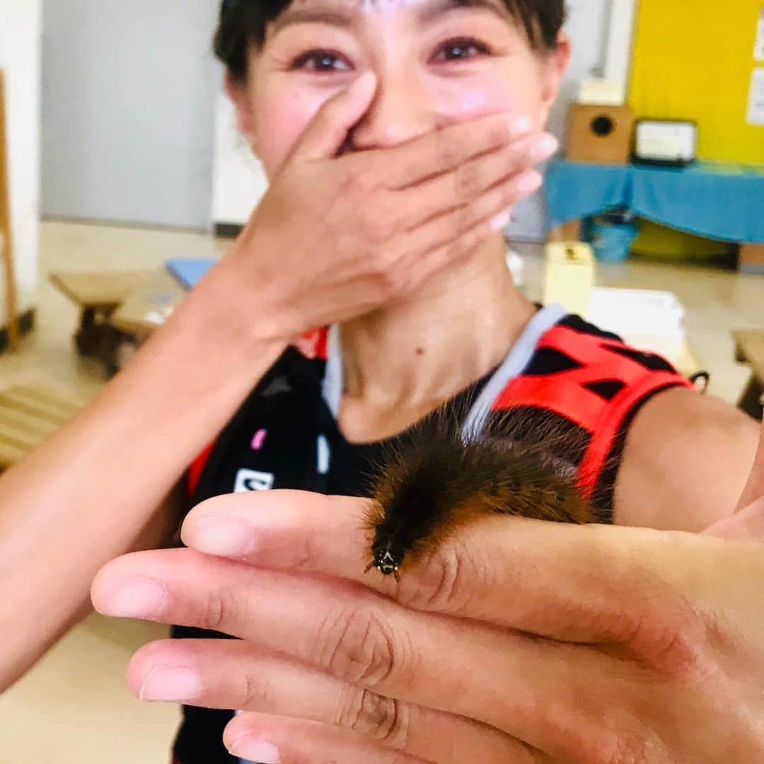 福島和可菜さんのインスタグラム写真 - (福島和可菜Instagram)「宮崎県で地震… 大丈夫でしょうか…  今日から大坂へ🚄 嬉しいお知らせが出来る予定ですので、楽しみにしていて下さいな✨ 昨日の御岳での写真😊  #虫は無視出来ない #本当に可愛い #毛虫ちゃん #イモムシちゃん #癒し #何でも手に乗せたくなる #毒がない事を確認して #将来 #蛾 #尺取虫 #毛虫 #イモムシ #昆虫 #幼虫 #ふれあい #御岳山 #健康大使 #大坂 #新幹線」5月10日 10時37分 - fukushimawakana