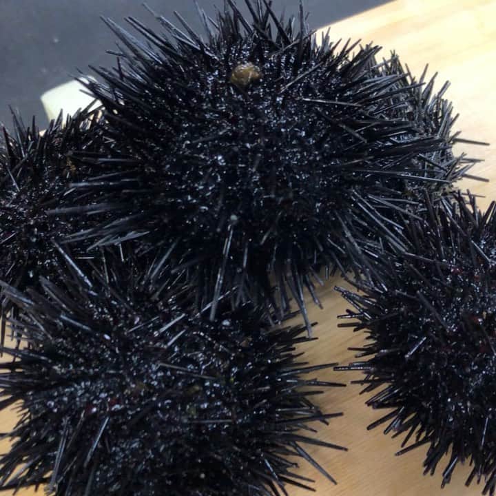 寿司居酒屋 番屋のグルメインスタ