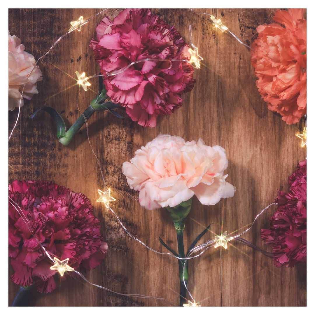 furryrate officialさんのインスタグラム写真 - (furryrate officialInstagram)「Happy Mother's Day 🌹 . . 今週末は母の日🎶 . . いつもありがとう❣️ . . #furryrate #furry #ファーリーレート #ファーリー #母の日 #flower #flowers #mothersday #thanks #花 #カーネーション #carnation #star」5月10日 10時42分 - furry_official_