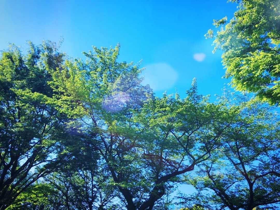 のインスタグラム：「今日は一日大事な撮影！ 頑張る✨  #sunnydays #天気いいとパワーもらえる☺︎」