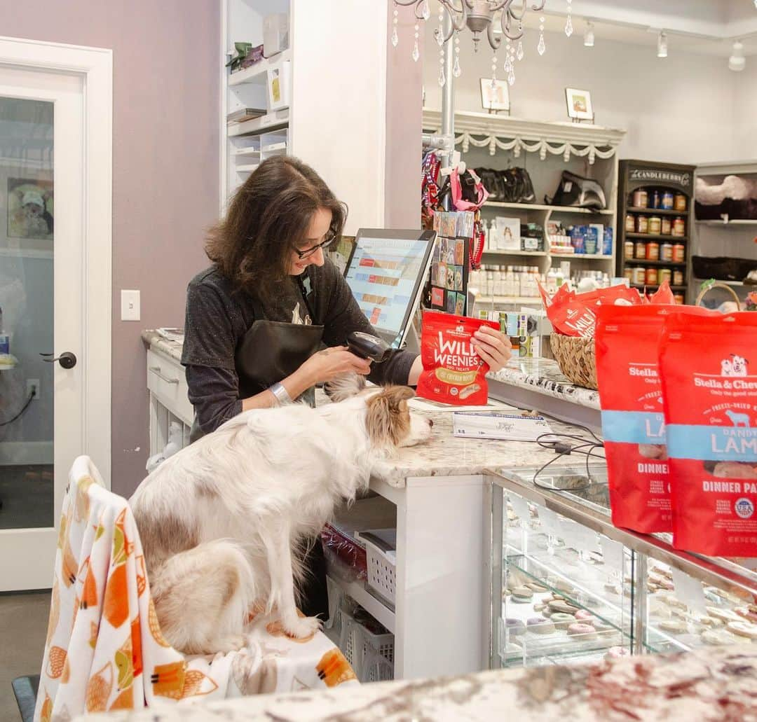 Jazzy Cooper Fostersさんのインスタグラム写真 - (Jazzy Cooper FostersInstagram)「Let’s support local small businesses!  BB got to play as an employee for a day at Gimmi a Bark. She was confused as to why so many people were "taking" her favorite foods and the other employees were happy to see them go. 😧 @stellaandchewys #smallbusinessweek #sponsored  Thank you Gimmie a Bark for having us! ❤️」5月10日 11時23分 - bordernerd