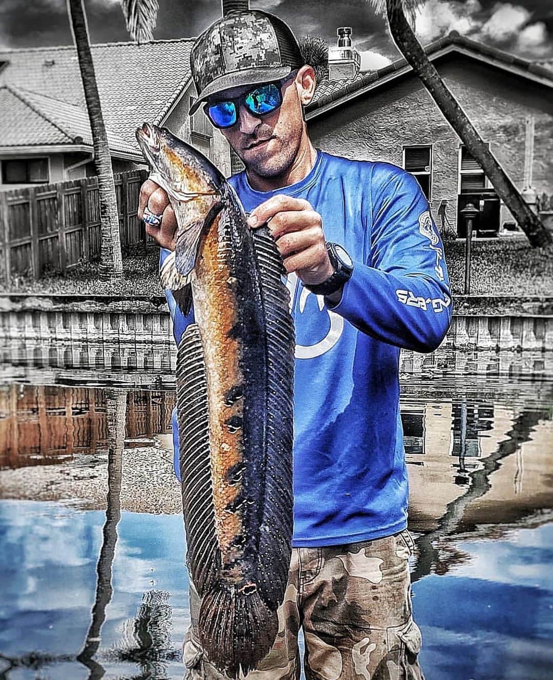 Filthy Anglers™さんのインスタグラム写真 - (Filthy Anglers™Instagram)「Awesome edit done by our good friend @capo_fishing with a nice snakehead he pulled in this past month. We visited him down in Florida last year to chase peacocks and I hope to do it again in a few months at ICAST. Brett is probably one of the most well versed anglers in regards to catching multiple species, he knows his fish and sunglasses. Congrats on the catch bud, you are Certified Filthy www.filthyanglers.com @line_cutterz #fishing #bassfishing #teamfilthy #angler #catchandrelease #miami #florida #bassfishing #outdoors #angler #bassfishing #mlf #flw #bassmaster」5月10日 11時15分 - filthyanglers