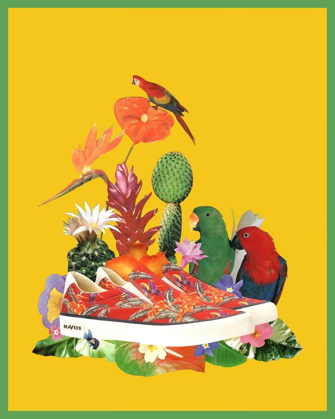 シービーズのインスタグラム：「Still swooning over the collages @tedfeighan dreamed up in celebration of our Magnum Collection 🦜」