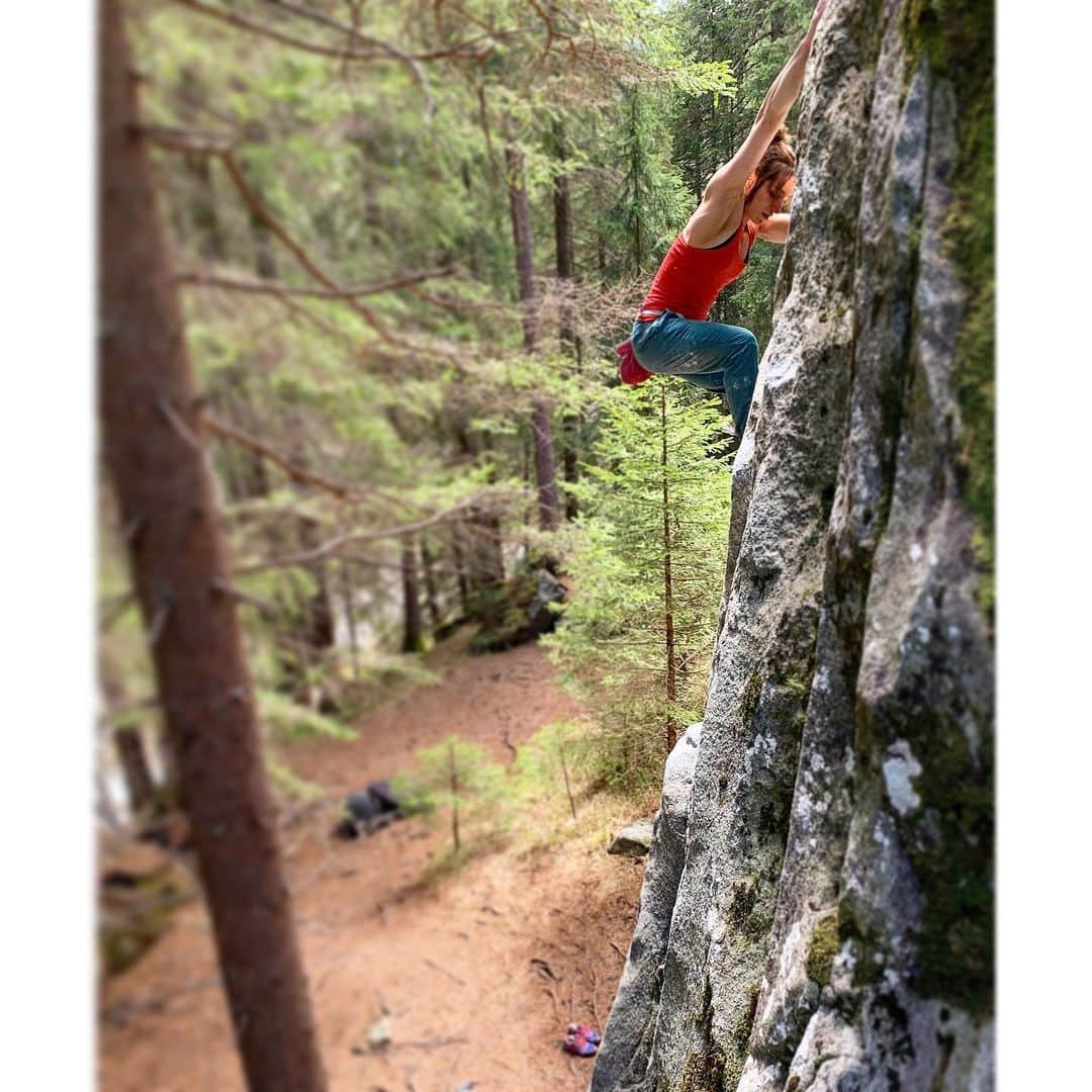 アレックス・パッチシオさんのインスタグラム写真 - (アレックス・パッチシオInstagram)「One of my all time favorite climbs. Don’t even know how many times I have climbed this mega classic highball!!! “Blue Sky of Mine”  Magic Wood Switzerland. 🙌  @scarpana @petzl_official @frictionlabs  #funinthesun #climb #happyplace #uhamikakuto」5月10日 5時34分 - alex_puccio89