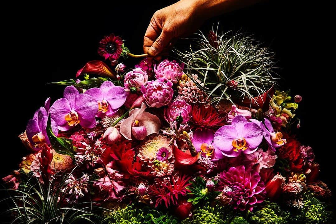 東信さんのインスタグラム写真 - (東信Instagram)「Flowers #amkk #amkkproject #makotoazuma #azumamakoto #東信花樹研究所 #東信 #jardinsdesfleurs #shiinokishunsuke #flowerart #flower #flowers」5月10日 5時26分 - azumamakoto