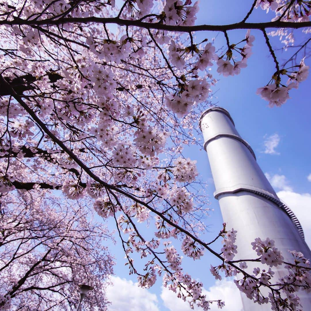 東京電力ホールディングス株式会社さんのインスタグラム写真 - (東京電力ホールディングス株式会社Instagram)「佐久発電所　サージタンクと桜 Surge Tank and Cherry Blossoms at Saku Power Station  #東京電力 #東電 #tepco #群馬 #佐久発電所 #サージタンク #gunma」5月10日 11時41分 - tepco.official