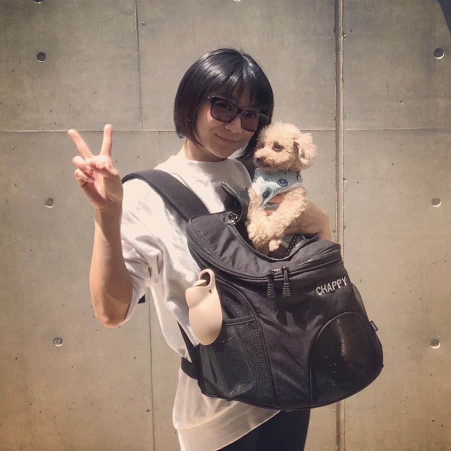 のインスタグラム：「全く興味のない顔されてますが… ・ 愛犬用リュックを新調！！ 自転車に乗るときはリュックが楽ちん🐶 ・ ポッケも付いてるし、何よりも名前入りなのが嬉しい🐶 ・ #時東ぁみ #愛犬 #犬 #dog #トイプードル #toypoodle #タイニープードル #tinypoodle #犬用 #リュック #犬用リュック #winsun #オリジナルリュック #いぬすたぐらむ #犬バカ部 #cuun #連載中 #🐶 #動画 あり」
