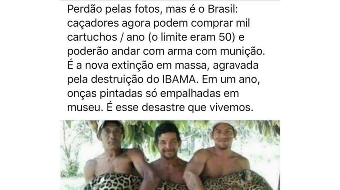 Thaila Ayalaさんのインスタグラム写真 - (Thaila AyalaInstagram)「E eles ainda querem matar nossos animais por esporte. 😭😭😭 Milhões de animais agora estão ainda mais ameaçados e mais armas de fogo circulam entre o nosso povo. A caça no Brasil foi proibida em 1967 e o país vinha lutando contra essa cultura que permeia nossa própria história. Com o decreto, o país amarga mais um retrocesso nas políticas mundiais de conservação da sua própria biodiversidade. 🐆💔 #DigaNãoAEssaBarbaridade .#NãoACaça」5月10日 8時02分 - thailaayala