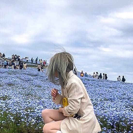 原涼香さんのインスタグラム写真 - (原涼香Instagram)「ㅤㅤㅤㅤㅤㅤㅤㅤㅤㅤㅤㅤㅤ 💠💠」5月10日 7時58分 - suzuka_hara