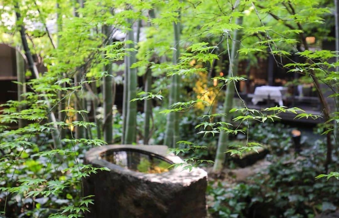 THE KAWABUN NAGOYA | 河文のグルメインスタ