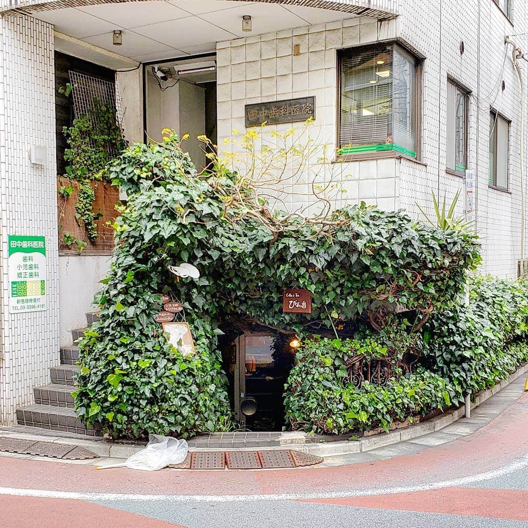 CAFE-STAGRAMMERのグルメインスタ