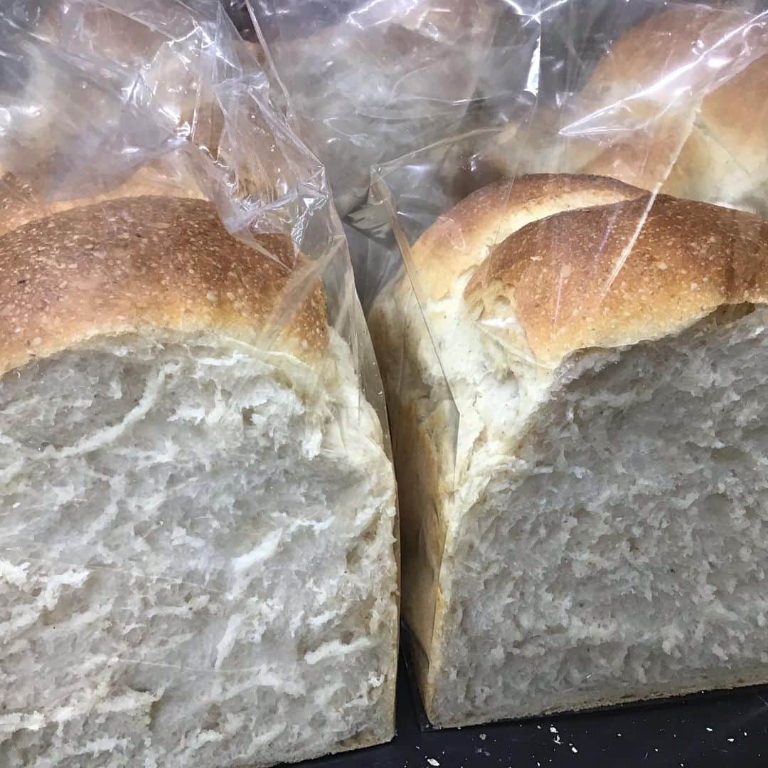 魔女菅原のグルメインスタ