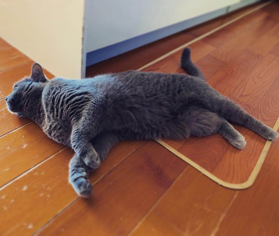 チキン南蛮カレーのルウ王子のグルメインスタ