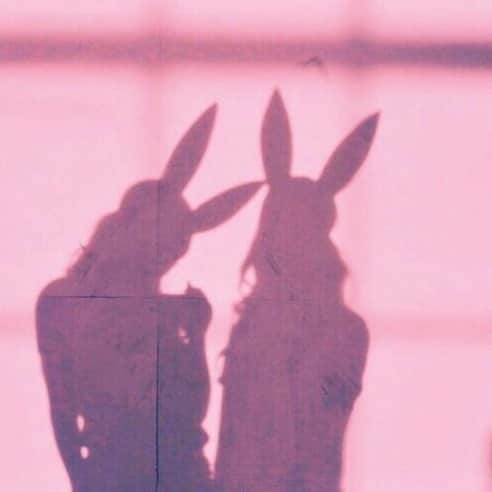 ワイルドフォックスクチュールさんのインスタグラム写真 - (ワイルドフォックスクチュールInstagram)「Every bunny needs some bunny. Who's yours? #wildfox #inspo #bff #bestfriends #friendsforever」5月10日 9時07分 - wildfoxcouture