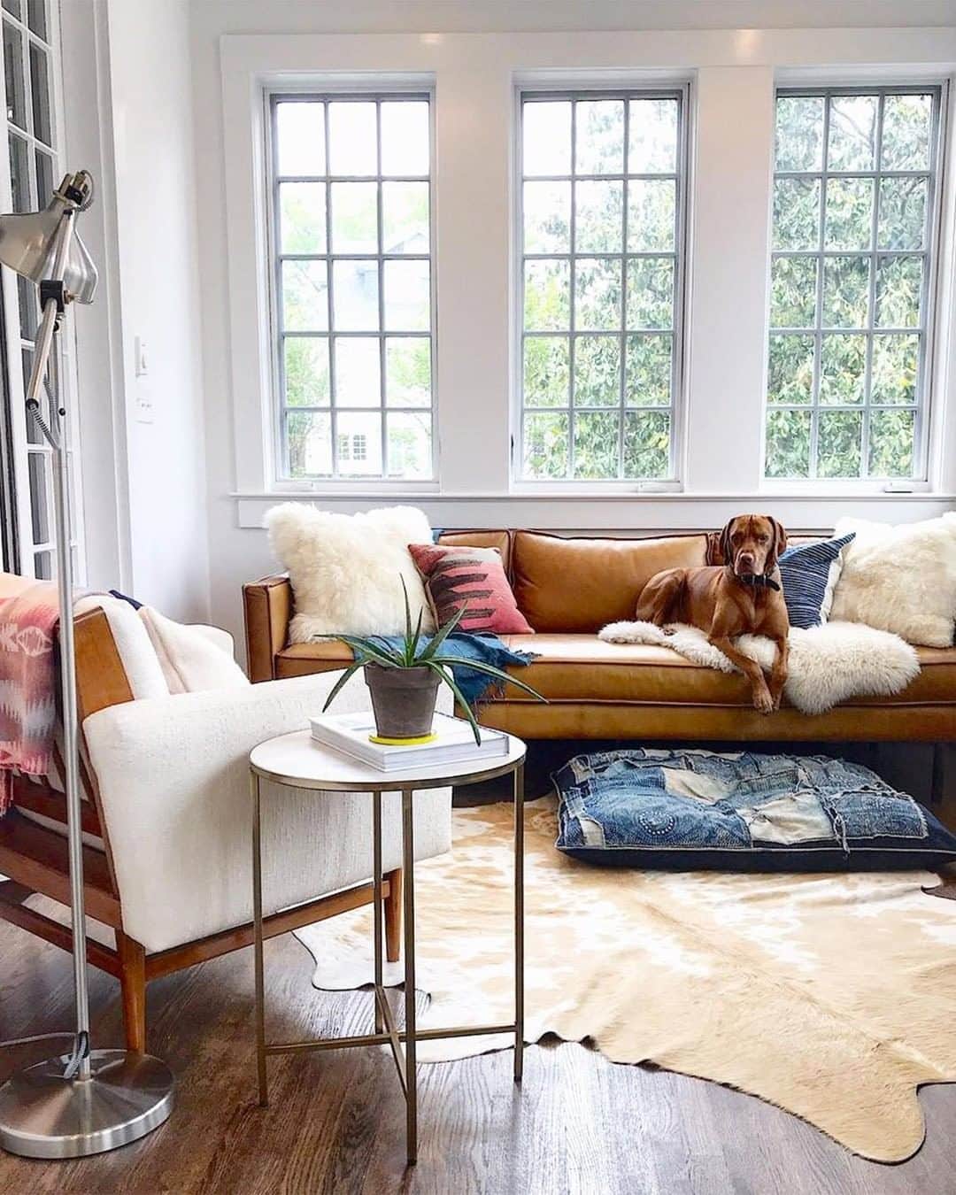 west elmさんのインスタグラム写真 - (west elmInstagram)「When the thought of leaving the sofa is just too much to handle. Thanks for sharing your Axel Leather Sofa, @theedgeoftown! Share your style with us by tagging @westelm ✨ #mywestelm #loungelife #napgoals #leathersofa #petsofwestelm #dogsofwestelm #dogsofinstagram」5月10日 9時19分 - westelm