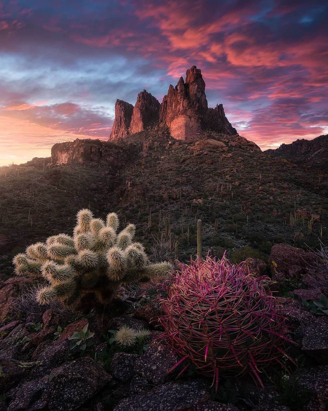 Earth Picsさんのインスタグラム写真 - (Earth PicsInstagram)「Desert light 🌵 Photo by @rosssvhphoto」5月10日 9時23分 - earthpix