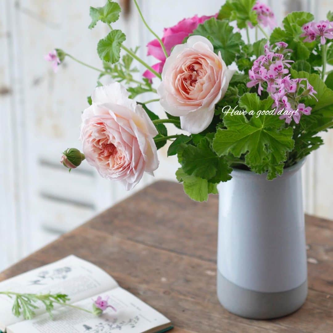 雑誌『花時間』さんのインスタグラム写真 - (雑誌『花時間』Instagram)「おはようございます。今日は半袖日和👚  全国的に青空が広がっていそうですね。さて、本日の話題は「ハーブゼラニウム」のススメです。ピンクの小花をつけた、いきいきグリーンがそれ。苗としてはもちろん、お花屋さんにも切り花として出回っています。葉から、とても爽やかな香りがして…じつは花留めとしても優秀！  花留めとして機能させるには、ふた〜つコツがあります。❶茎が何本も枝分かれしたものを選んで ❷器に先にいけることで、あとから挿す花を支えてくれるんです。このアレンジで合わせたバラはフルーティな香りの「アブラハムダービー」。週末は花々の香りとともに過ごしませんか？  母の日の贈り物にもオススメの組み合わせです💐  では、本日も元気smile😊😊😊で頑張りましょう！  by ピーターパン  花 @nonihana_  写真 @落合里美  #hana #flower #flowers #flowerslovers #flowerstagram #pinkflowers #花時間 #花時間2019 #花好き #花藝 #花好きな人と繋がりたい #花が好きな人と繋がりたい #花のある生活 #花のある暮らし #バラが好きな人と繋がりたい #イングリッシュローズ #アブラハムダービー #ハーブゼラニウム #香りのよい花  #センテッドゼラニウム  #ピンクの花が好き #日々の花  #初夏の花 #botanicallife #花屋さんへ行こう」5月10日 9時28分 - hanajikan_magazine