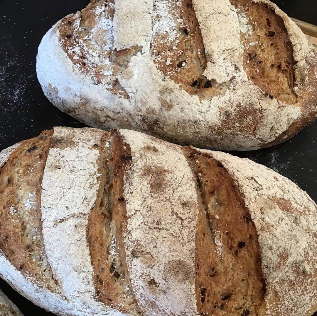 魔女菅原のグルメインスタ