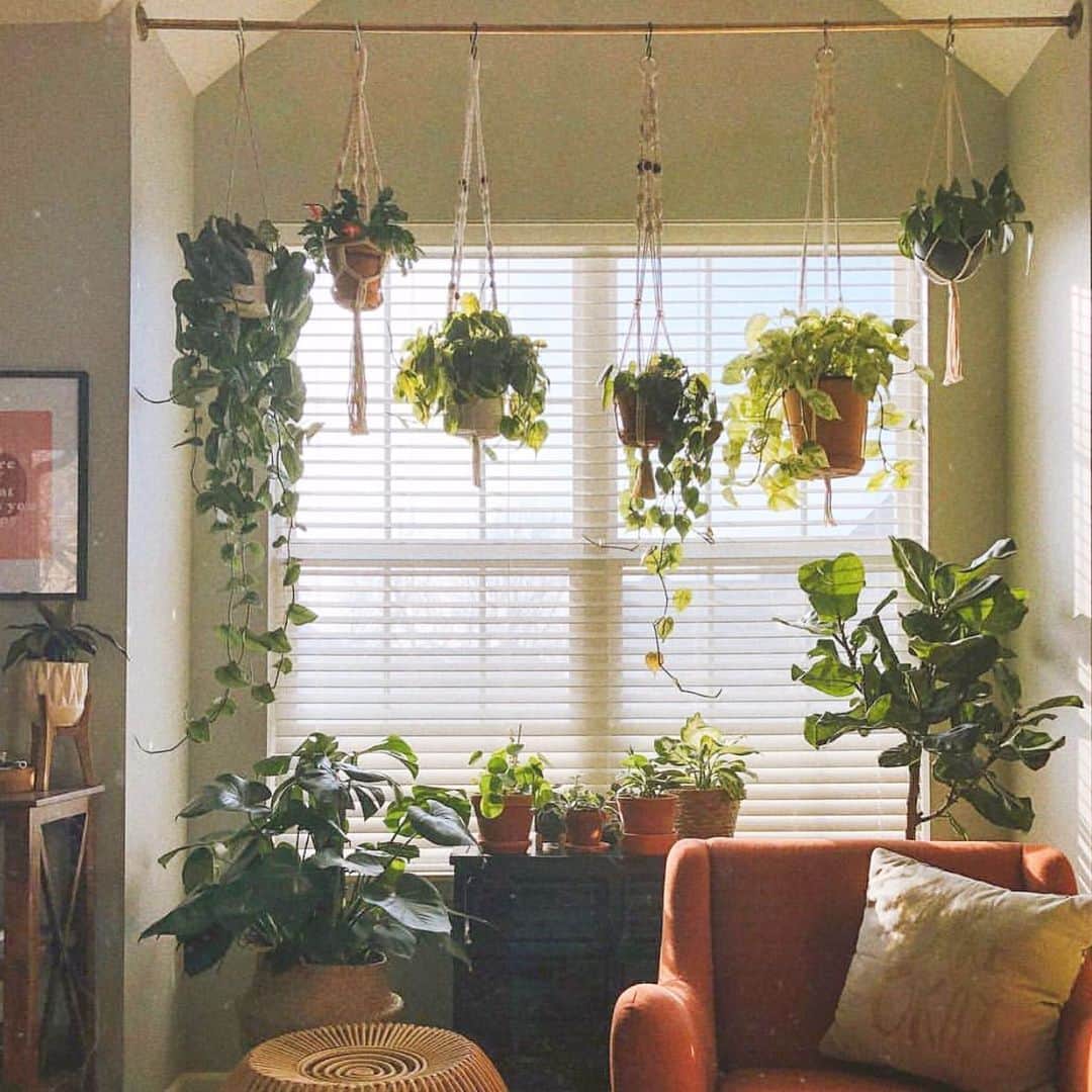 The Louunのインスタグラム：「#homedecor #plantlover #plants #hangingplants #pothos #greendecor #interior Plants Simply 🌿Delivered 📦To Your Door」