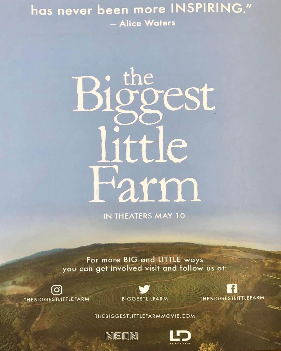 デビッド・エイゲンバーグのインスタグラム：「@thebiggestlittlefarm opens today! Do yourself a big favor and experience  what making life, love and the world a little better can be .It’s an amazing movie! I cried I laughed it felt good to be human! #thebiggestlittlefarm」