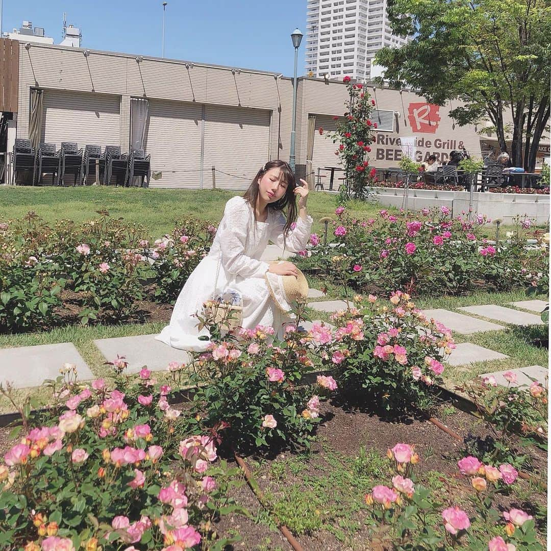 月森世菜さんのインスタグラム写真 - (月森世菜Instagram)「バラ園🌹  まだ満開じゃなかったけど楽しかった〜♡ . #中之島バラ園 #中之島 #ホワイトコーデ #dholic」5月10日 19時20分 - seina.tsukimori