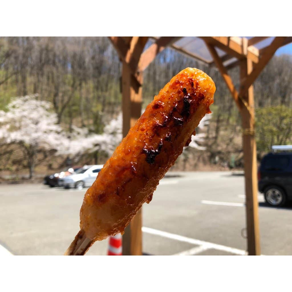 中山美香さんのインスタグラム写真 - (中山美香Instagram)「秋田の旅。 . . . #秋田 #秋田県 #田沢湖 #秋田駅 #秋田犬 #みそたんぽ #新政 #ラーメン #旅 #ドライブ #akita #akitainu #tazawa #lake #drive #japan @44erika44 さん有難うございます！ 秋田とっても良いところでした♪」5月10日 19時50分 - mika5nakayama