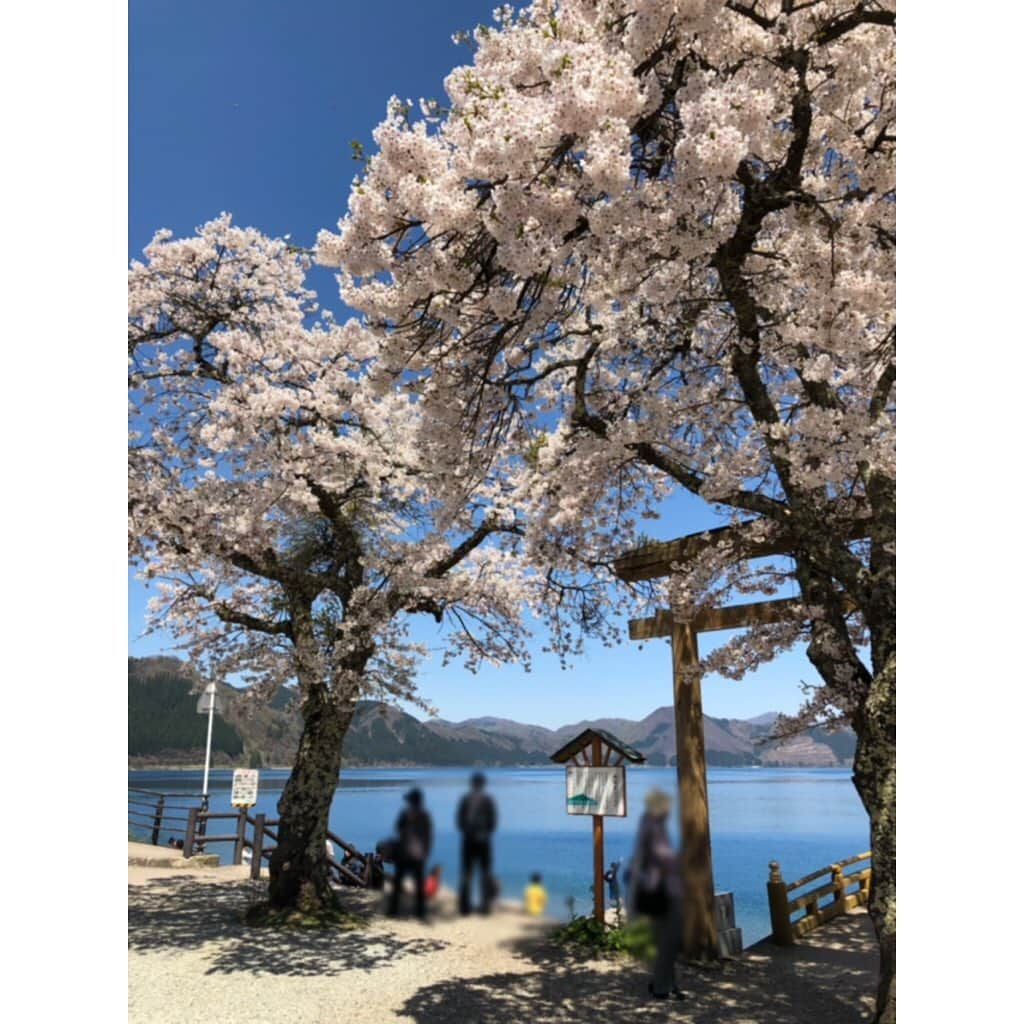 中山美香さんのインスタグラム写真 - (中山美香Instagram)「秋田の旅。 . . . #秋田 #秋田県 #田沢湖 #秋田駅 #秋田犬 #みそたんぽ #新政 #ラーメン #旅 #ドライブ #akita #akitainu #tazawa #lake #drive #japan @44erika44 さん有難うございます！ 秋田とっても良いところでした♪」5月10日 19時50分 - mika5nakayama