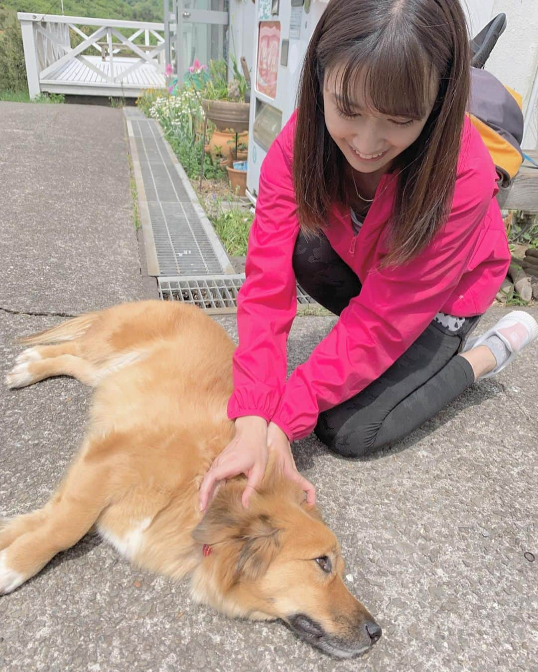 小泉遥のインスタグラム