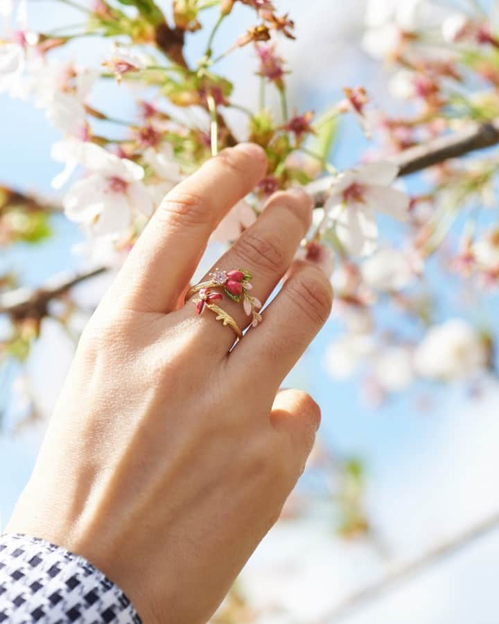 レネレイドさんのインスタグラム写真 - (レネレイドInstagram)「✨Les Néréides has cultivated its spectacular tropical gardens to offer you a delicate ring subtly hand-enameled and gold plated. Discover it in the Hanging Garden collection. #Lesnereidesparis #Lesnereidesgifts #Frenchjewellery #Costumejewellery #FloralJewelry #Rings #Readyforspring #CelebrateNature」5月10日 20時30分 - lesnereidesparis