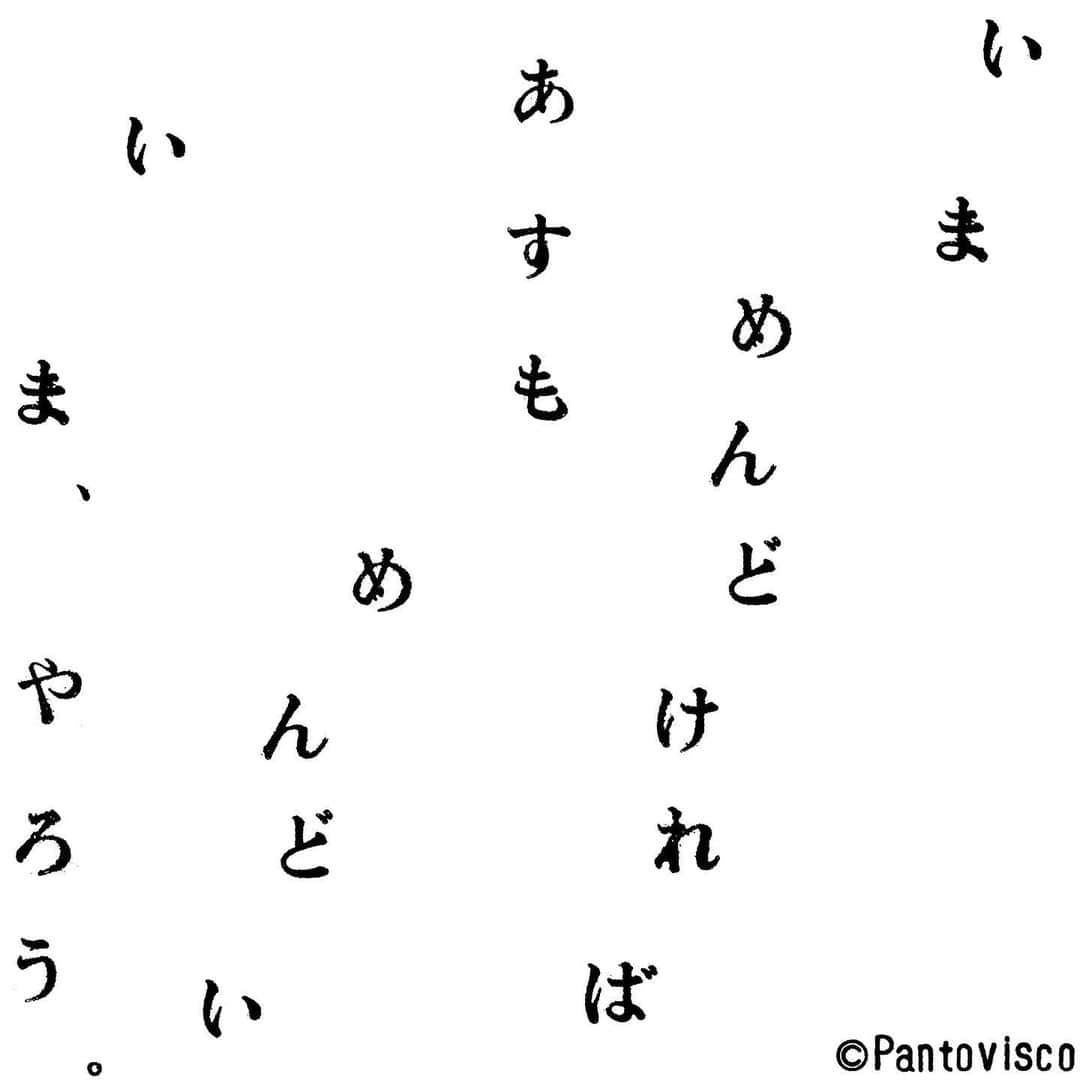 pantoviscoのインスタグラム
