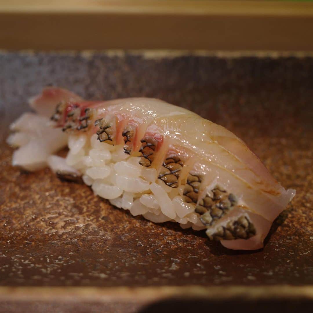 松嶋初音さんのインスタグラム写真 - (松嶋初音Instagram)「たくさん食べてたくさん飲んでいます。 いつの日かの鮨。  #寿司 #鮨 #すし #sushi #japanesefood #四ツ谷 #yotsuya #すし匠」5月10日 12時07分 - hatsunex