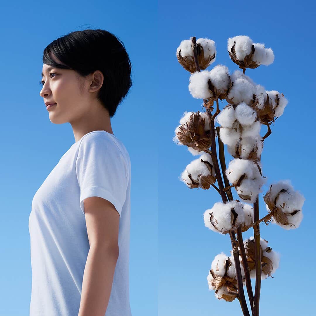 無印良品さんのインスタグラム写真 - (無印良品Instagram)「空を見て育ったTシャツです。  無印良品にとって、綿はもっとも大切な天然素材のひとつです。  綿の栽培には大変な手間と時間がかかるため、これまで多くの農薬や化学肥料が使われてきました。綿を育てている人々への影響や環境への負荷にも配慮して、ものづくりをしていきたい。  そんな思いから、無印良品は20年以上にわたり、オーガニックコットンの割合を増やす取り組みを続け、2018年より衣料品のすべての綿がオーガニックコットンになりました。  #無印良品 #MUJI #MUJIwear #綿 #cotton #オーガニックコットン #OrganicCotton #Tシャツ #tshirt #tshirts」5月10日 12時00分 - muji_global