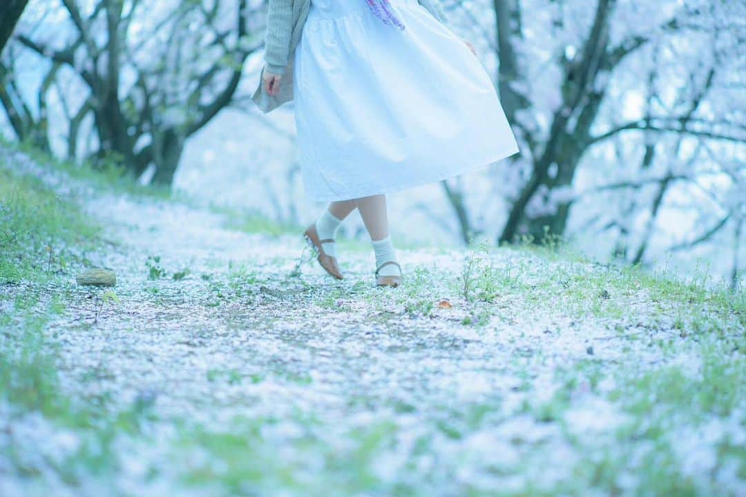 JTさんのインスタグラム写真 - (JTInstagram)「. ＜「ひとのときを、想う。」Instagramフォトコンテスト、心に残る応募作品をご紹介📷✨＞ - 可憐な花々が放つ、儚げな美しさに満ちた“ひととき”を応募してくださったのはRyuki（ @ryuki.l ）さん✨ - 「春が終わる寂しさと、夏が来るわくわく感」と、移ろう季節への想いも伝わってくるコメントをいただきました。 - これからも @jt_official.jp では、「ひとのときを、想う。」をテーマに皆さんの“大切なひととき”や“かけがえのない時間”に彩りを添えられるような情報をお届けしていきます🍀 - #ひとのときを想う　#JT　#素敵な作品ありがとうございます　#応募作品　#フォトコンテスト #桜 #桜の絨毯 #ひととき　#写真好きな人と繋がりたい　#東京カメラ部　#tokyocameraclub」5月10日 12時00分 - jt_official.jp