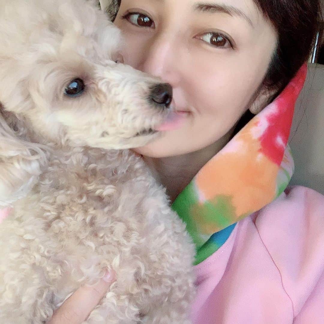 矢田亜希子さんのインスタグラム写真 - (矢田亜希子Instagram)「私の仕事の間にもなかさんトリミングへ♪ #矢田亜希子 #akikoyada #愛犬#トリミング#トイプードル#トイプードルアプリコット#toypoodle #toypoodleapricot  #ピンク#cherrylosangeles」5月10日 12時18分 - akiko_yada