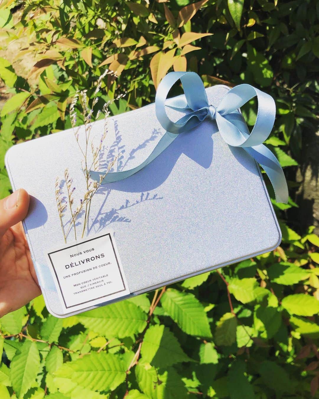 林藍菜のグルメインスタ