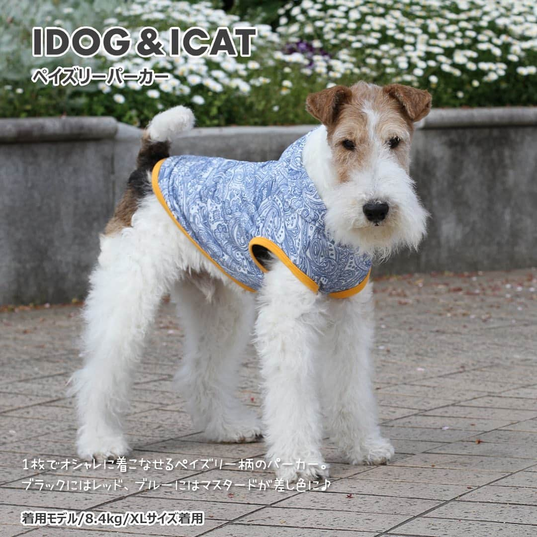 iDog&iCatさんのインスタグラム写真 - (iDog&iCatInstagram)「. 【1枚1080円～大人気プチプラウェア発売開始！】 . IDOG&ICATでは5/10より、販売開始しております♪ 楽天店舗URL：https://item.rakuten.co.jp/idog/c/0000000129/ . 寒い冬を越え、だんだんと暖かくなってきた今日この頃。 今すぐから暑い夏まで着られる春夏ウェアを多数販売♪ . 700円のカジュアルなタンクや涼しげなシャツまで！ 安くてカワイイウェアが11型UP♪ 在庫限りで販売終了になるので、お気に入りが見つかりましたら、お早目にどうぞ★ . イベントの詳細はプロフィールのURLからご確認ください♪ . . IDOG&ICAT公式LINEをお友達登録でお得な情報をゲットしよう！LINE ID『 ＠idogicat 』で検索♪ . #iDog #iDogiCat #iCat #ペット服 #ドッグウェア #新作 #プチプラ #犬服 #犬の服 #犬の服iDog #犬 #超小型犬 #小型犬 #中型犬  #キャットウェア #猫服 #猫の服 #猫の服iCat #猫#わんすたぐらむ #dog #にゃんすたぐらむ #cat #チワワ#トイプードル #ミニチュアダックスフンド#MIX犬」5月10日 12時55分 - idogicat